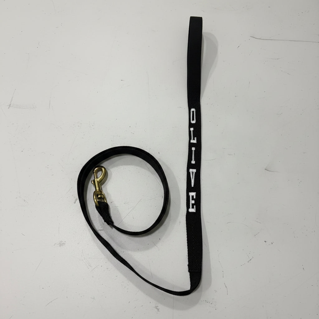 BLACK LEASH WITH NAME ON 2 SIDES WITH BRASS CLIP